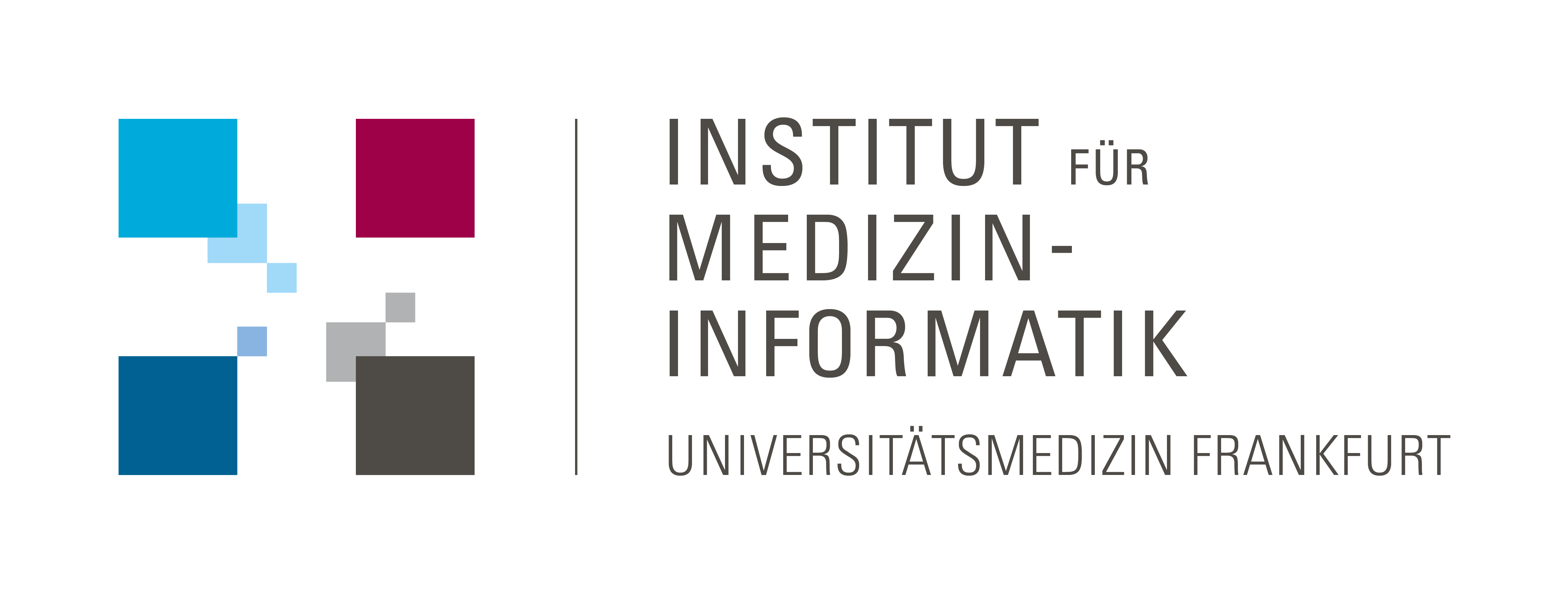 Link zum Institut für Medizininformatik der Universitätsmedizin Frankfurt