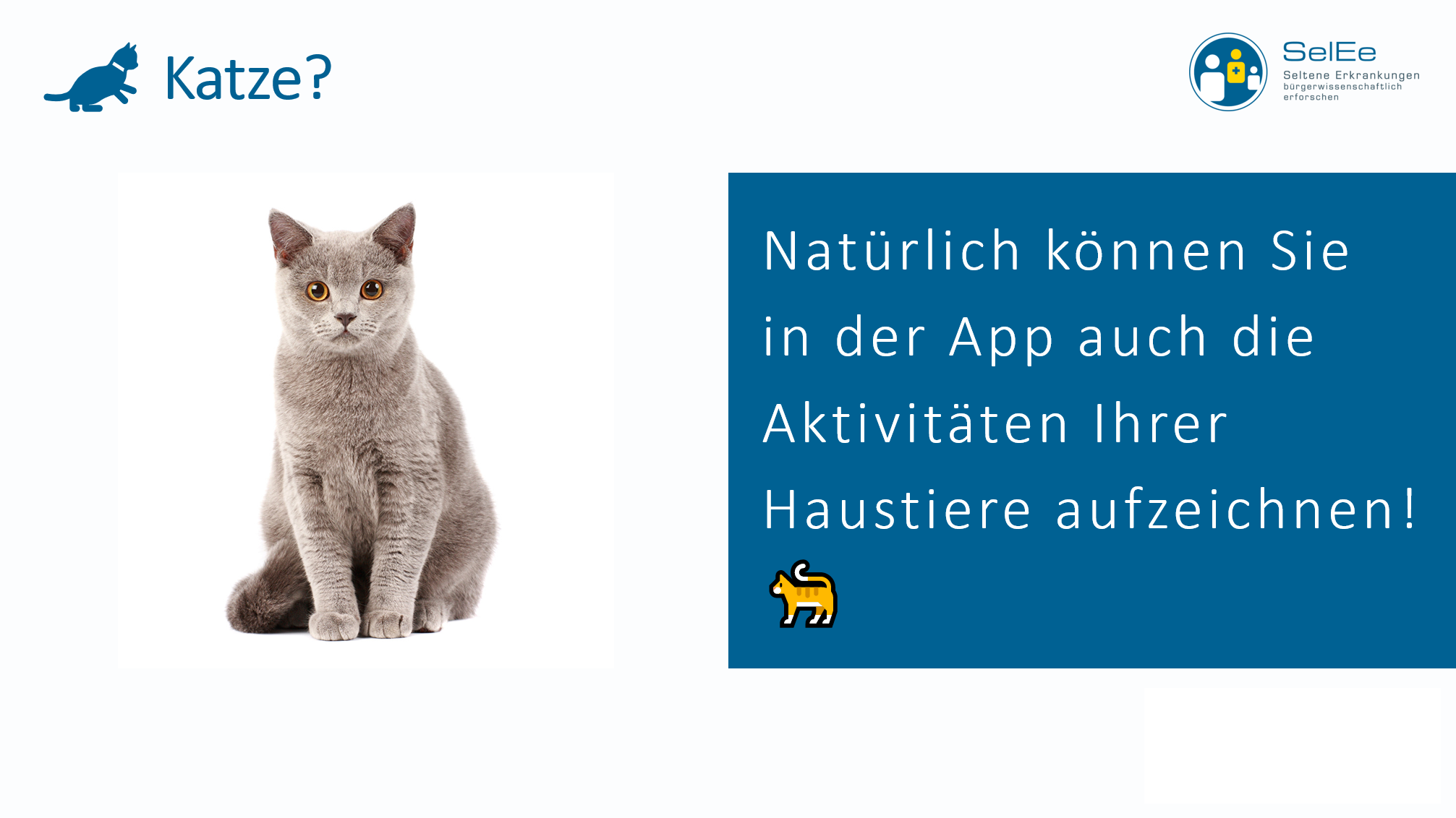 Bild einer Katze und folgender Text: Natürlich können Sie in der App auch die Aktivitäten Ihrer Haustiere aufzeichnen!